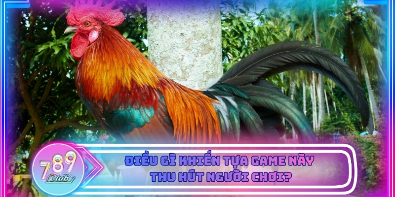 Điều gì khiến tựa game này thu hút người chơi?