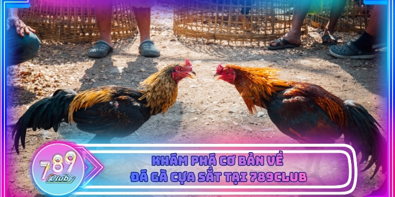 Tìm hiểu thông tin chi tiết về đá gà cựa sắt tại 789Club