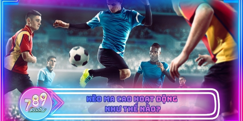 Biểu đồ biến động kèo Ma Cao phản ánh rõ nhịp trận đang diễn ra