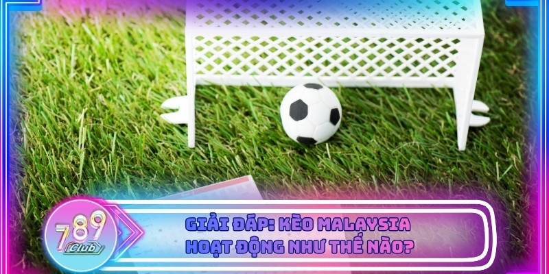 Bảng kèo malaysia hiển thị rõ tỷ lệ dương và âm cho người chơi