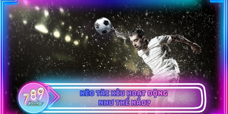 Biểu đồ biến động kèo tài xỉu giúp người chơi dự đoán nhịp trận chuẩn hơn