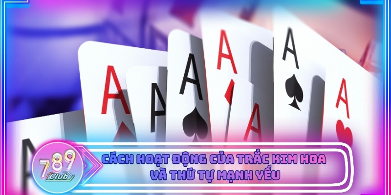 Bàn chơi Trắc Kim Hoa hiển thị rõ từng nhóm bài và cửa cược