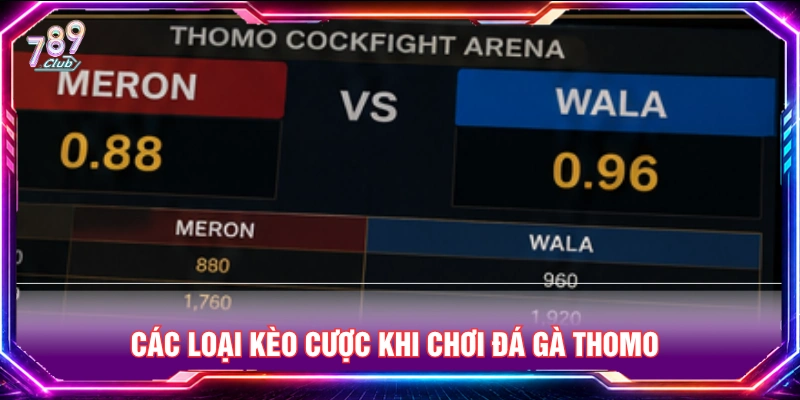 Các loại kèo cược khi chơi đá gà Thomo 