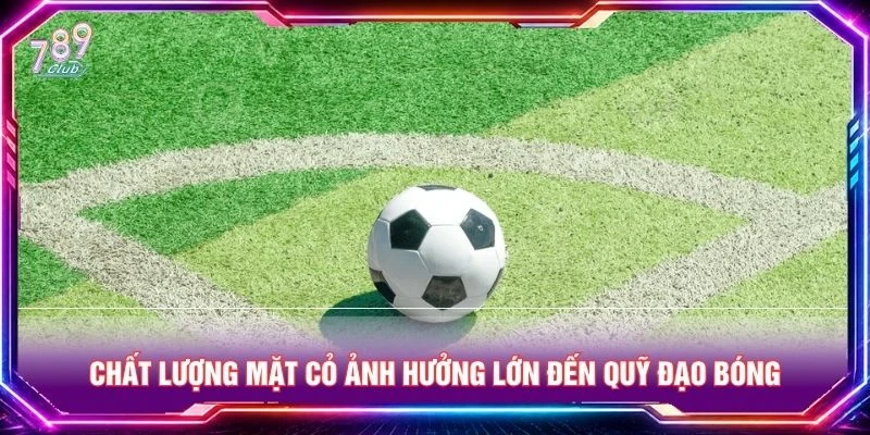 Chất lượng mặt cỏ ảnh hưởng lớn đến quỹ đạo bóng